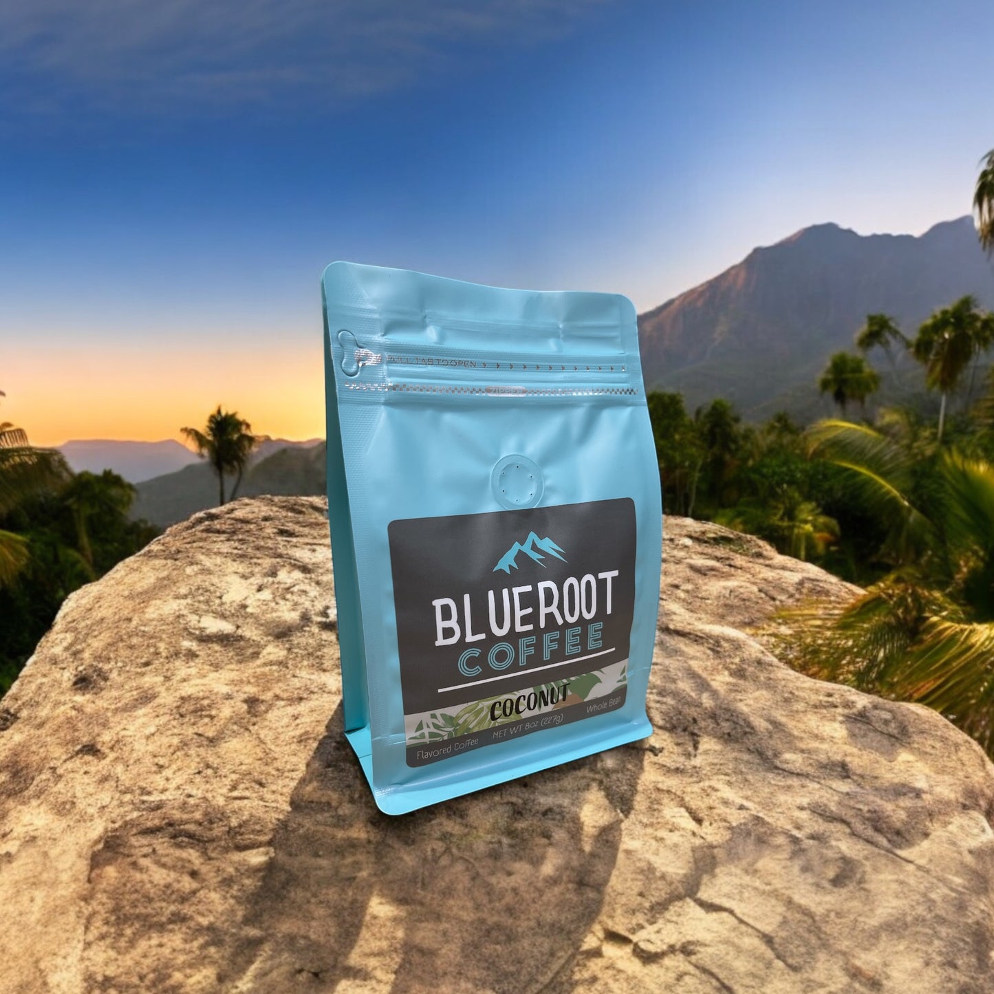 BlueRoot Coffee package on a rock with a mountainous landscape in the background