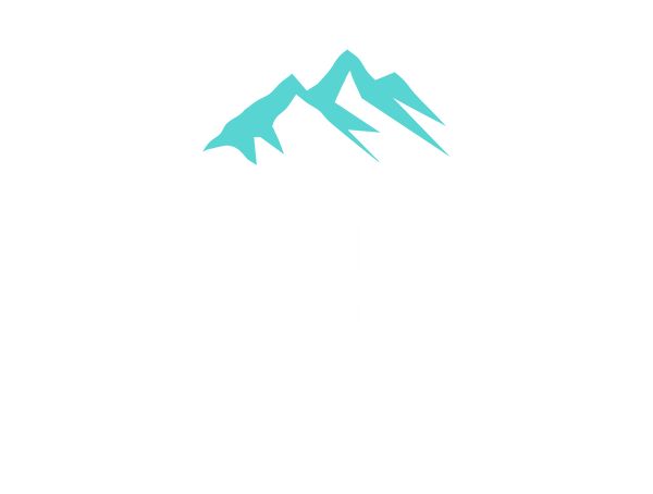 Blueroot Coffee